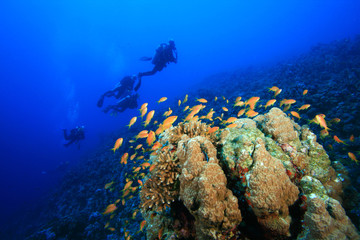 Fototapeta na wymiar Coral Reef and Scuba Divers