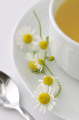 Detalle de una taza de manzanilla blanca con flores frescas