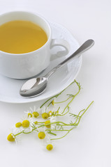 Taza blanca de manzanilla con flores frescas