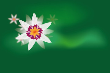 Obraz premium Beautiful flower background