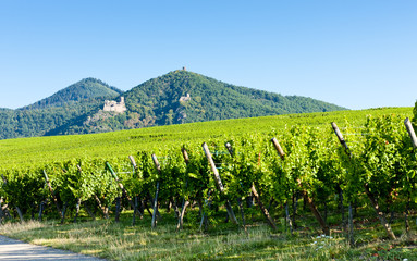 Chateau de Saint-Ulrich near Ribeauville, Alsace, France
