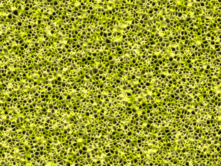 Yellow cellular texture