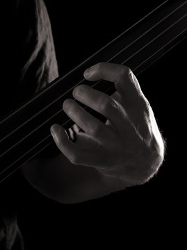 playing fretless electric bass guitar; toned monochrome