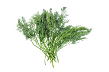 Bunch of dill isolated on the white background