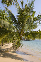 Beautiful tropical beach  , Thailand