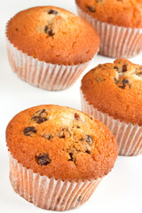 Muffins on a white background