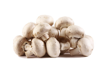 mushrooms isolated on a white background