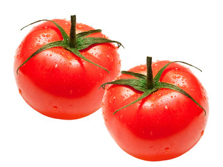 Tomatoes isolated on white background
