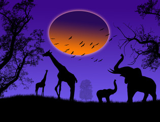 Wild animals on jungle