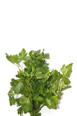 parsley2