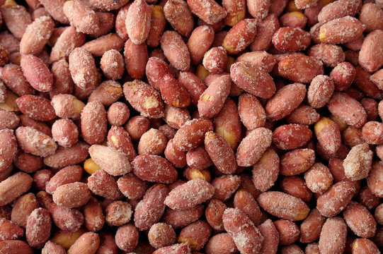 Seed background