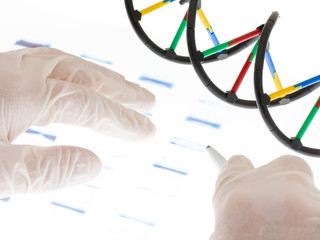 Examing DNA transparency
