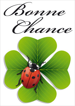 Coccinelle_Chance