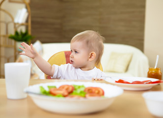 little boy having meal