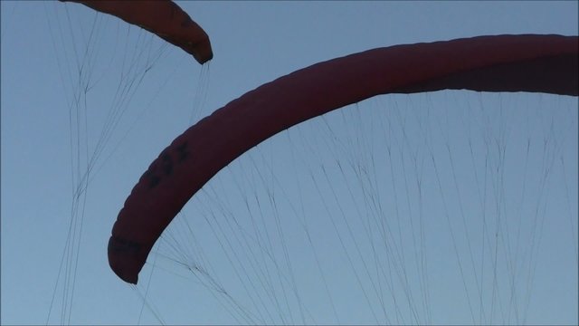 Paragleiter
