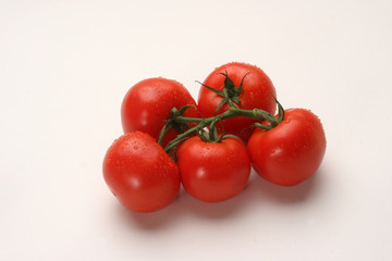 Tomato