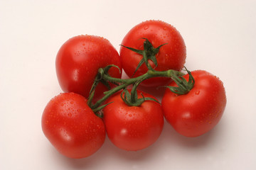Tomato