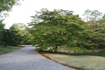 仙洞御所の庭園