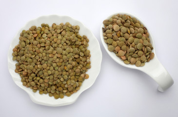 Green Lentils (lens culinaris)