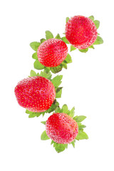 fresh raw strawberry
