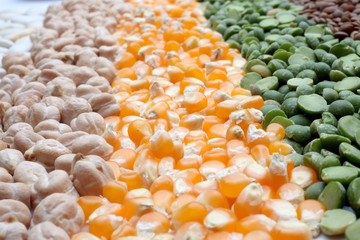 Various seeds and grains close up