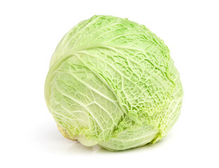 Fresh savoy cabbage