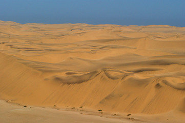 Fototapeta na wymiar dune de Swakopmund 4