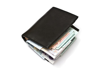 Wallet and various currency