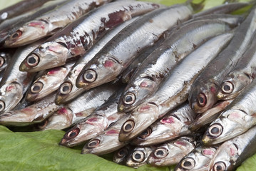Boquerones limpios.