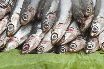 Boquerones en el expositor.