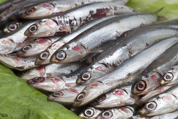 Obraz premium Boquerones en el mercado.
