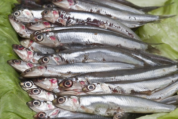 Fototapeta premium Anchoas frescas.