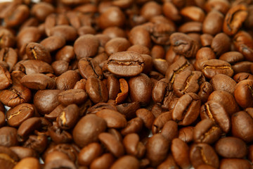 Kaffee 1/2011
