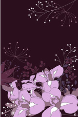 Dark floral background with contour irises and plants