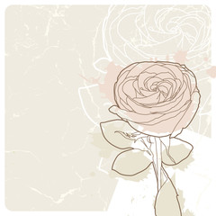 Grunge background with rose