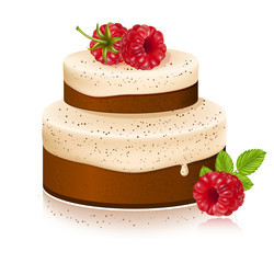 Vector cake with ripe raspberries