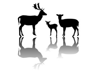 Gruppe Rehe mit Schattenspiegelung