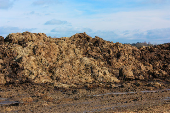 Fumier 이미지 찾아보기 584 스톡 사진, 벡터 및 비디오 Adobe Stock