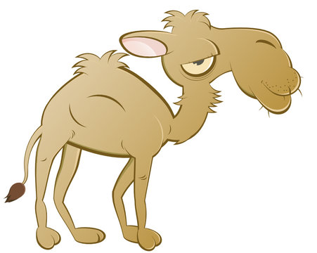 kamel cartoon lustig