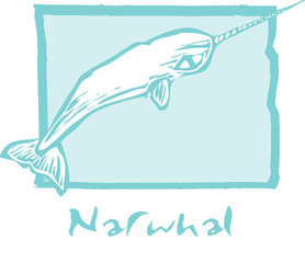 Narwhal in Blue © xunantunich
