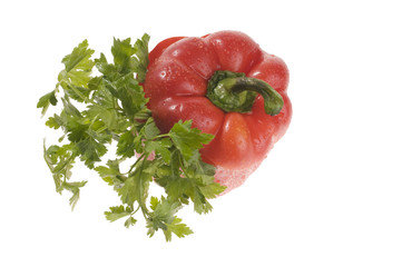 Red pepper and parsley over white