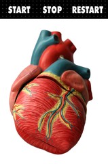 heart with buttons