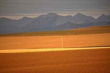 High Plains of Alberta with Rocky Mountains in distance