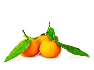 mandarins