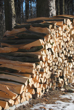 Holzstapel2