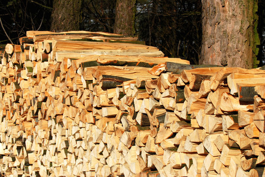 Holzstapel
