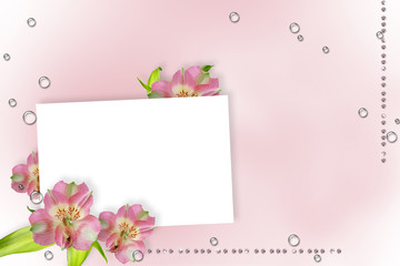 orchid greeting card