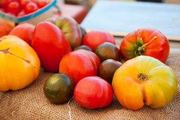 Various tomatoes
