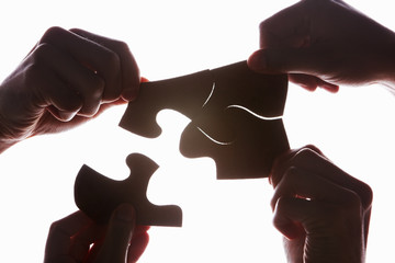 Solving the puzzle