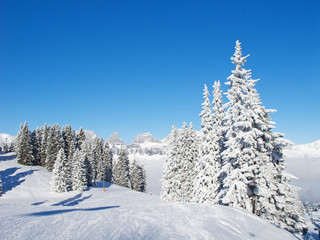 Obraz premium Winter in alps